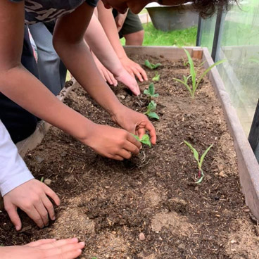 Natur Teknik på Møn Friskole